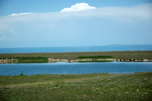 青海湖