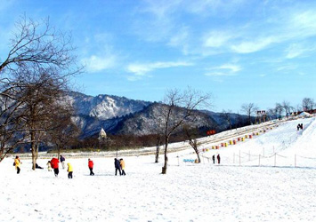 西岭雪山图片