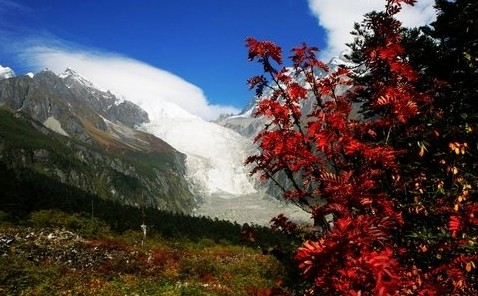 英亚平台到山川赏红叶泡温泉