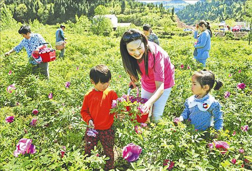 中国西充有机生活公园旅游攻略