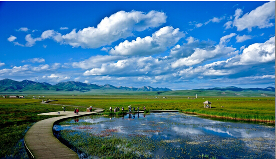 端午节好去处 九寨沟黄龙若尔盖花湖4日游