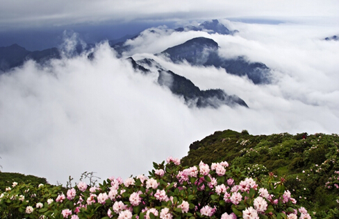 清明小长假自驾牛背山观景